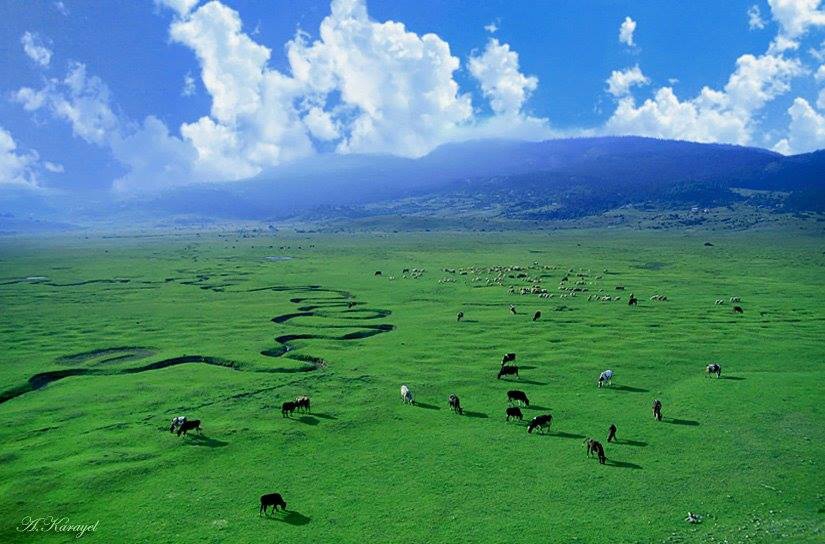 Taraklı İçdedeler Köyü Resimleri 6