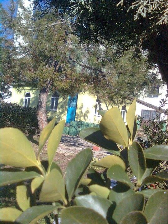 Taraklı İçdedeler Köyü Resimleri 7