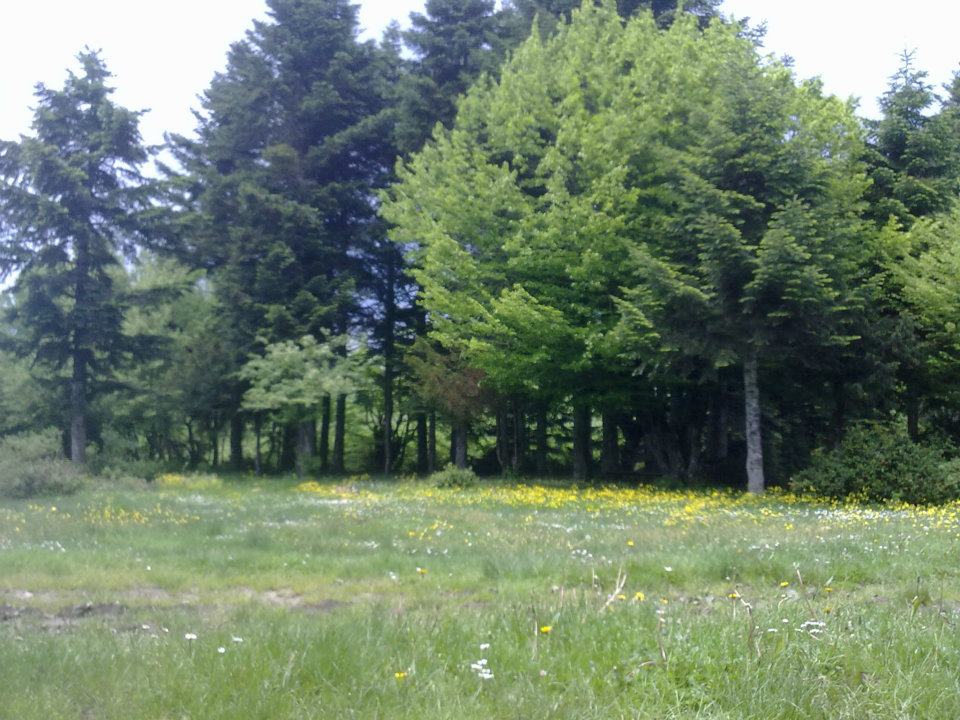 Taraklı Kemaller Köyü Resimleri 10