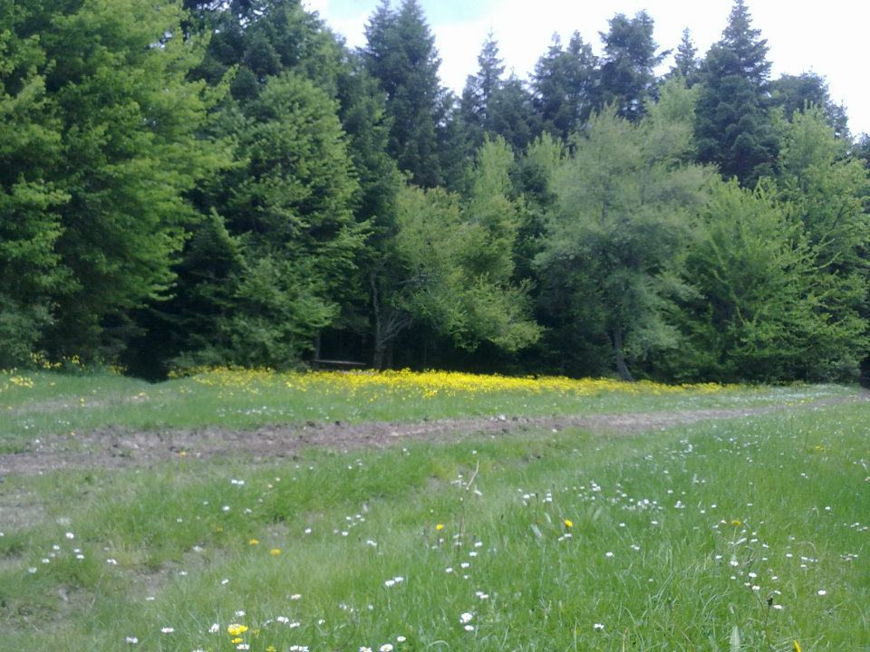 Taraklı Kemaller Köyü Resimleri 11