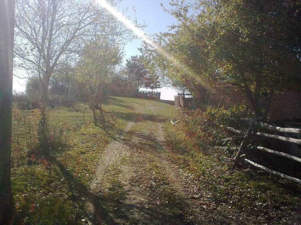 Taraklı Kemaller Köyü Resimleri 15