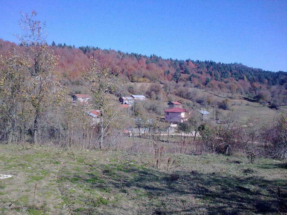 Taraklı Kemaller Köyü Resimleri 16