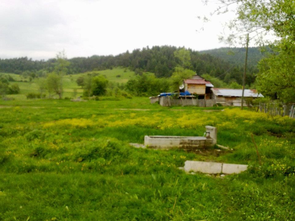 Taraklı Kemaller Köyü Resimleri 4