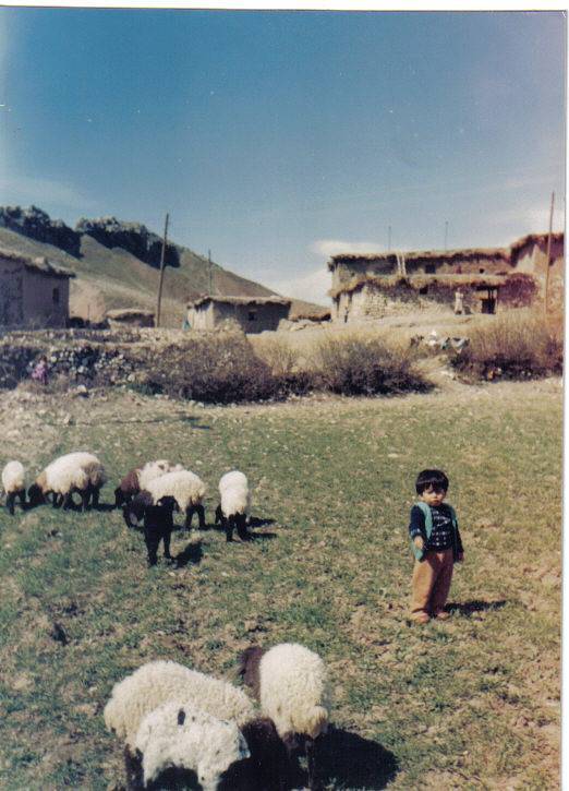 Kurtalan Kapıkaya Köyü Resimleri 1