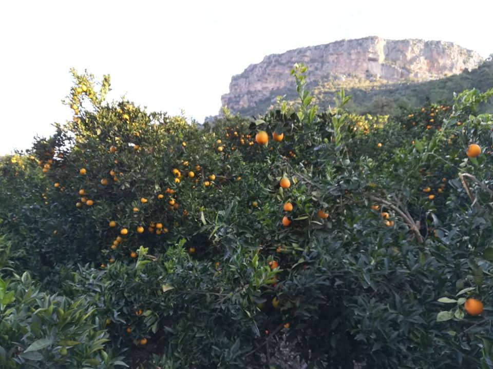 Toroslar Tırtar Köyü Resimleri 12