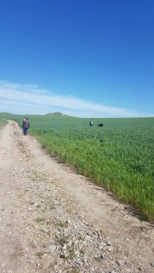 Kurtalan Saipbeyli Köyü Resimleri 2