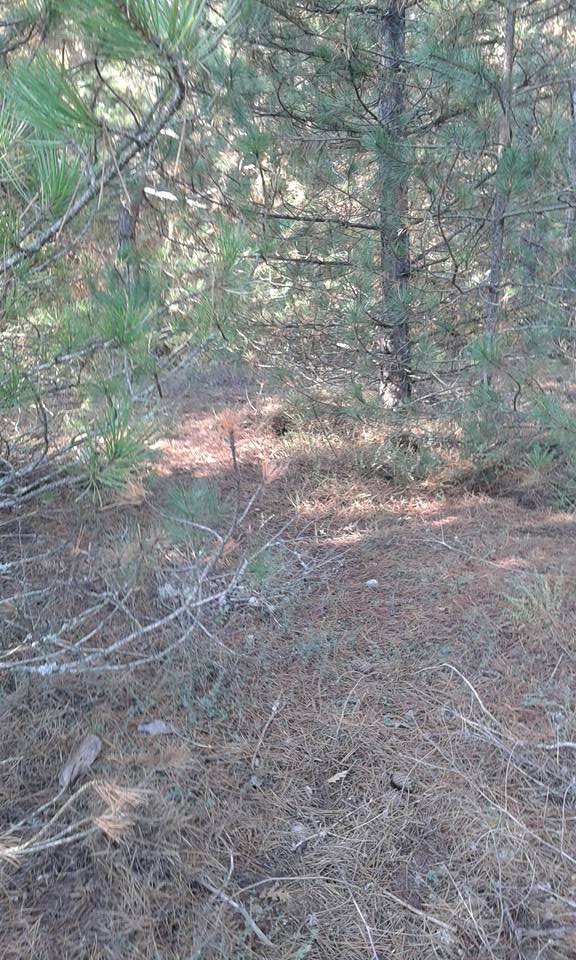 Taraklı Duman Köyü Resimleri 10