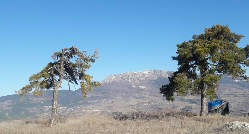 Taraklı Duman Köyü Resimleri 12