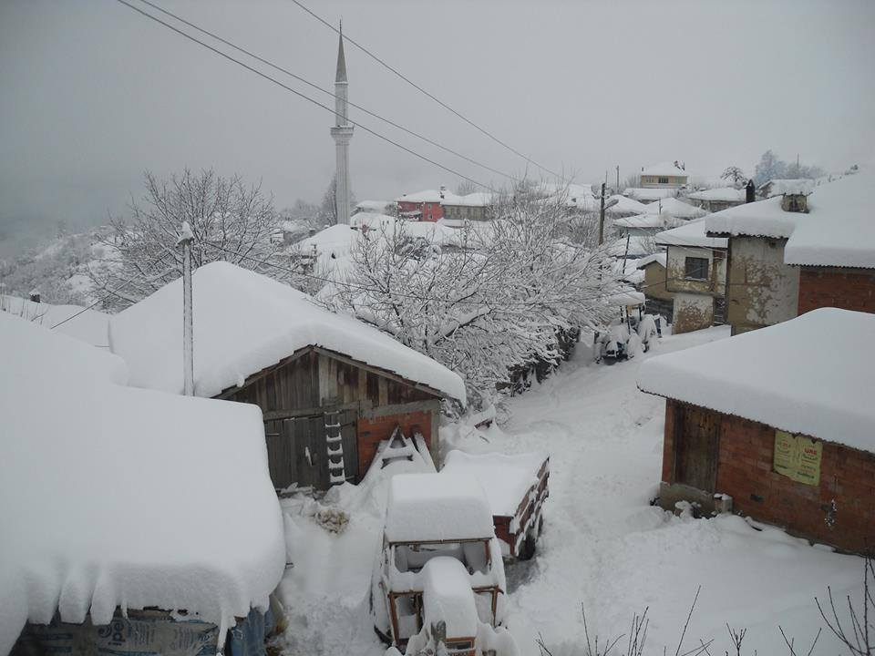 Taraklı Duman Köyü Resimleri 9