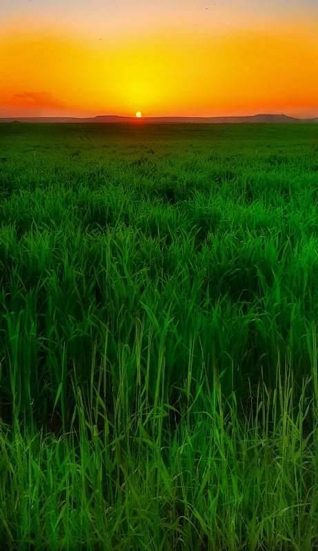 Kurtalan Taşoluk Köyü Resimleri 1