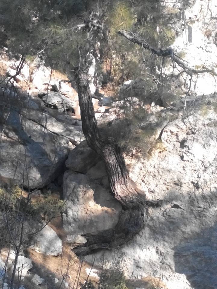 Toroslar Yalınayak Köyü Resimleri 9