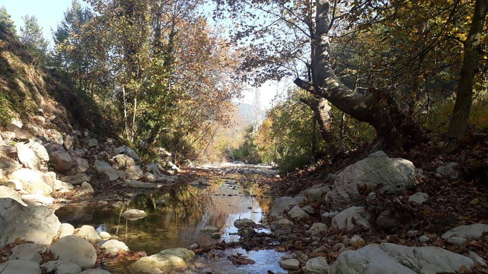 Toroslar Yavca Köyü Resimleri 10