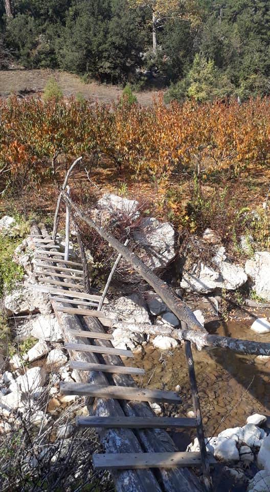 Toroslar Yüksekoluk Köyü Resimleri 10