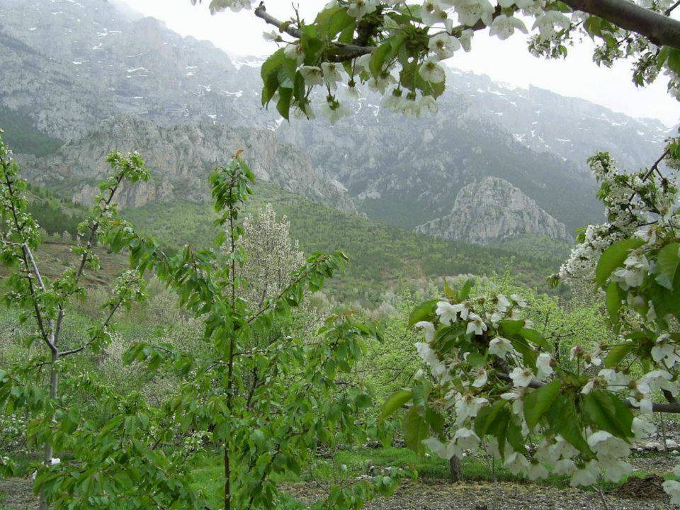 Toroslar Yüksekoluk Köyü Resimleri 4