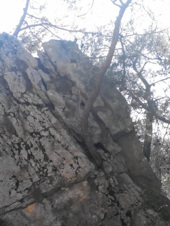 Toroslar Yüksekoluk Köyü Resimleri 7