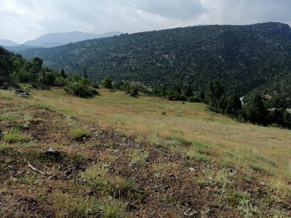 Toroslar Yüksekoluk Köyü Resimleri 8