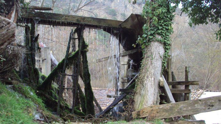 Taraklı Mahdumlar Köyü Resimleri 3