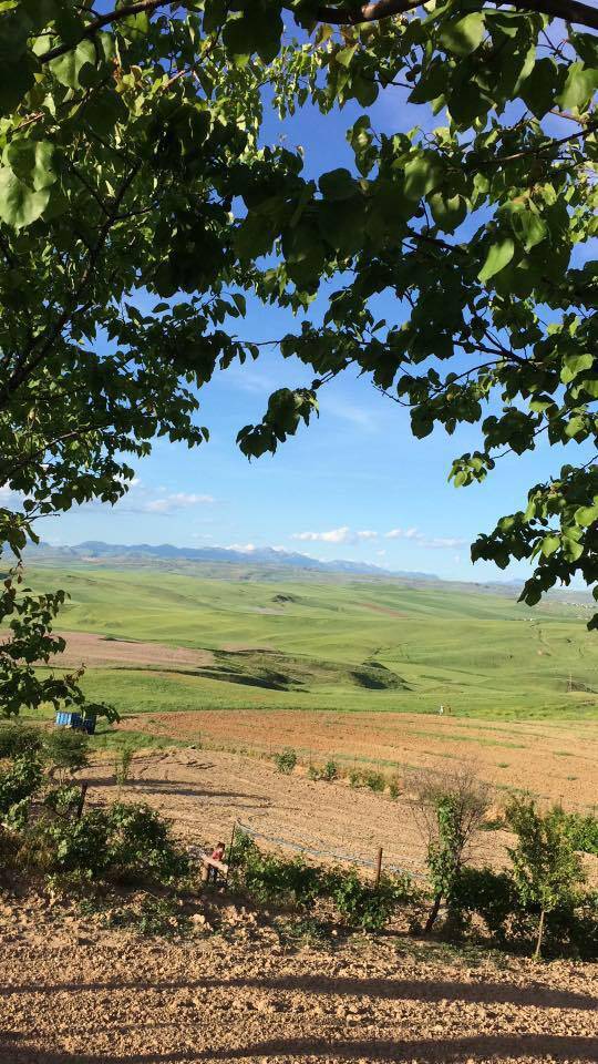 Kurtalan Toytepe Köyü Resimleri 2