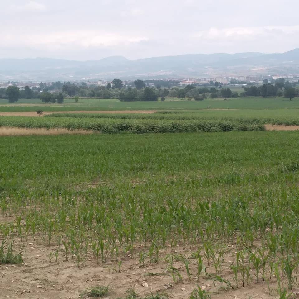 Yenişehir Ayaz Köyü Resimleri 11