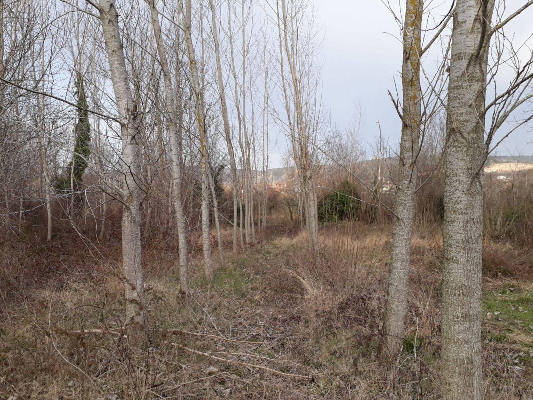 Yenişehir Ayaz Köyü Resimleri 5