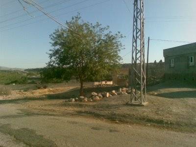 Kurtalan Uluköy Resimleri 1