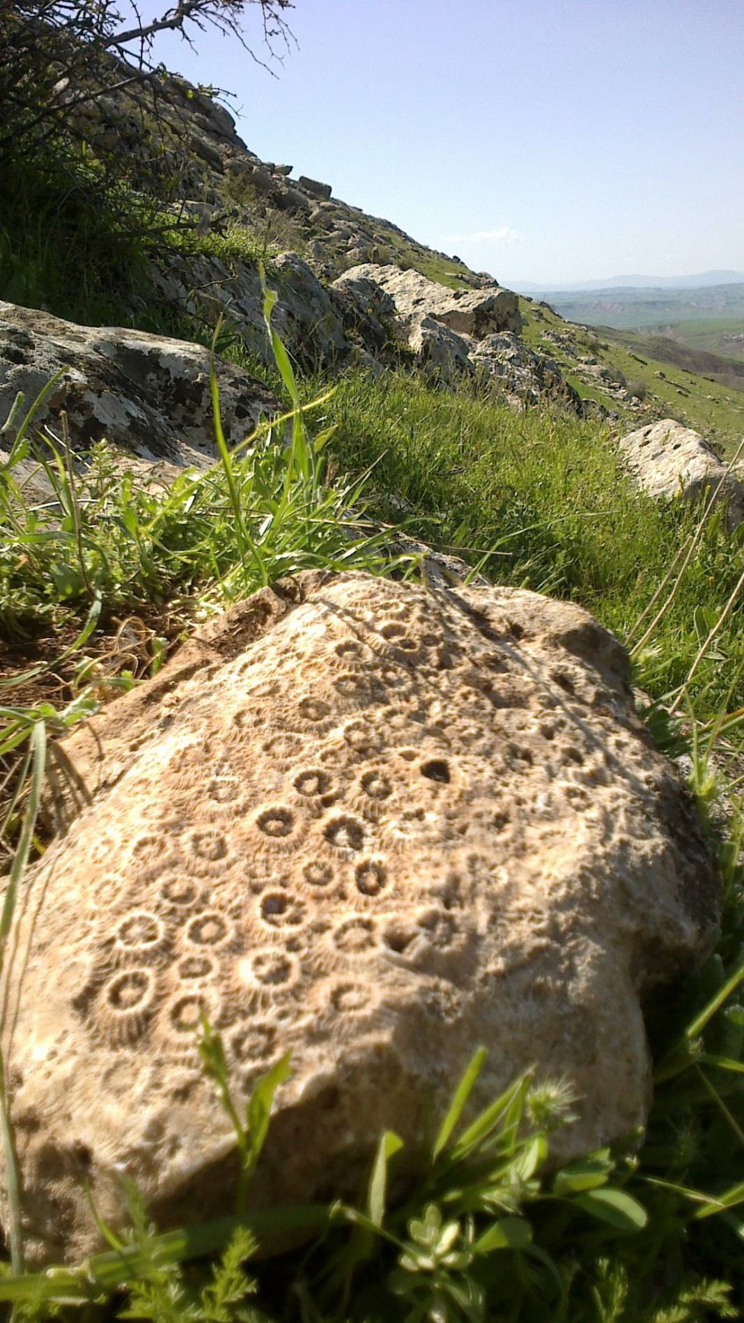 Kurtalan Yanarsu Köyü Resimleri 1