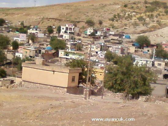 Kurtalan Yeniköprü Köyü Resimleri 1