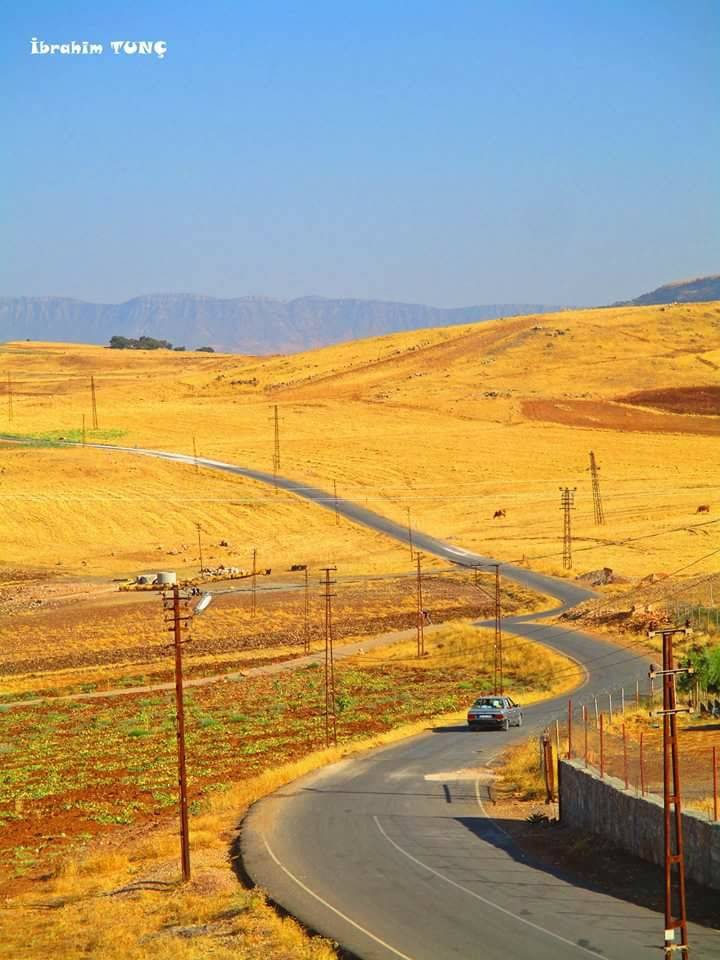 Kurtalan Yeniköprü Köyü Resimleri 3