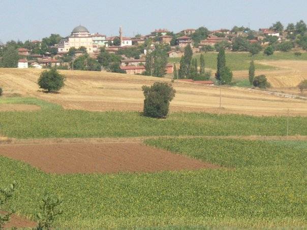 Yenişehir Barbaros Köyü Resimleri 1