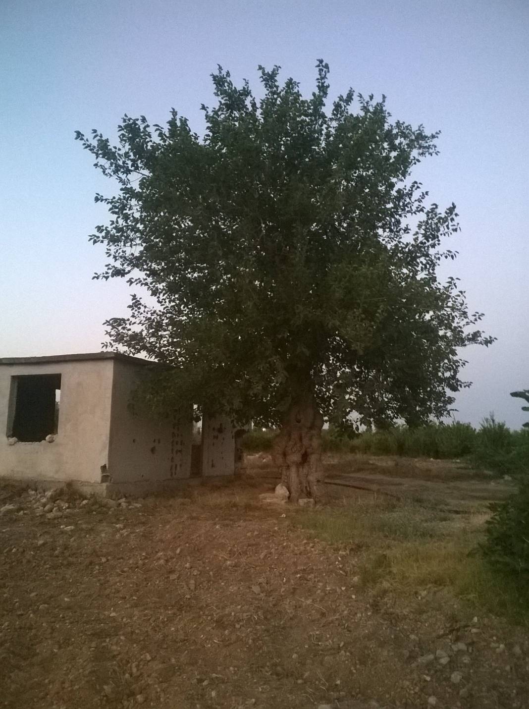 Yenişehir Değirmençay Köyü Resimleri 2