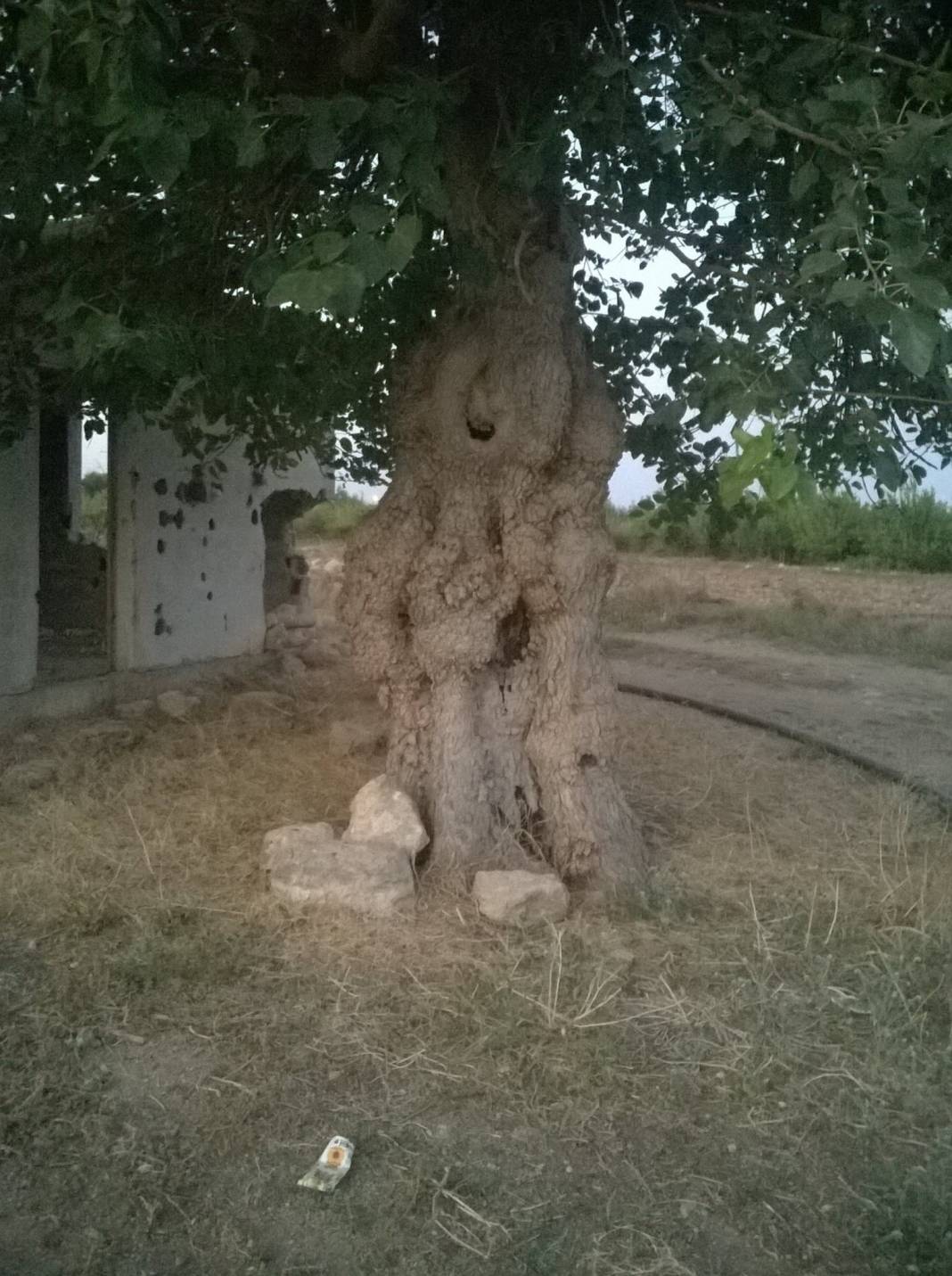 Yenişehir Dumlupınar Köyü Resimleri 1