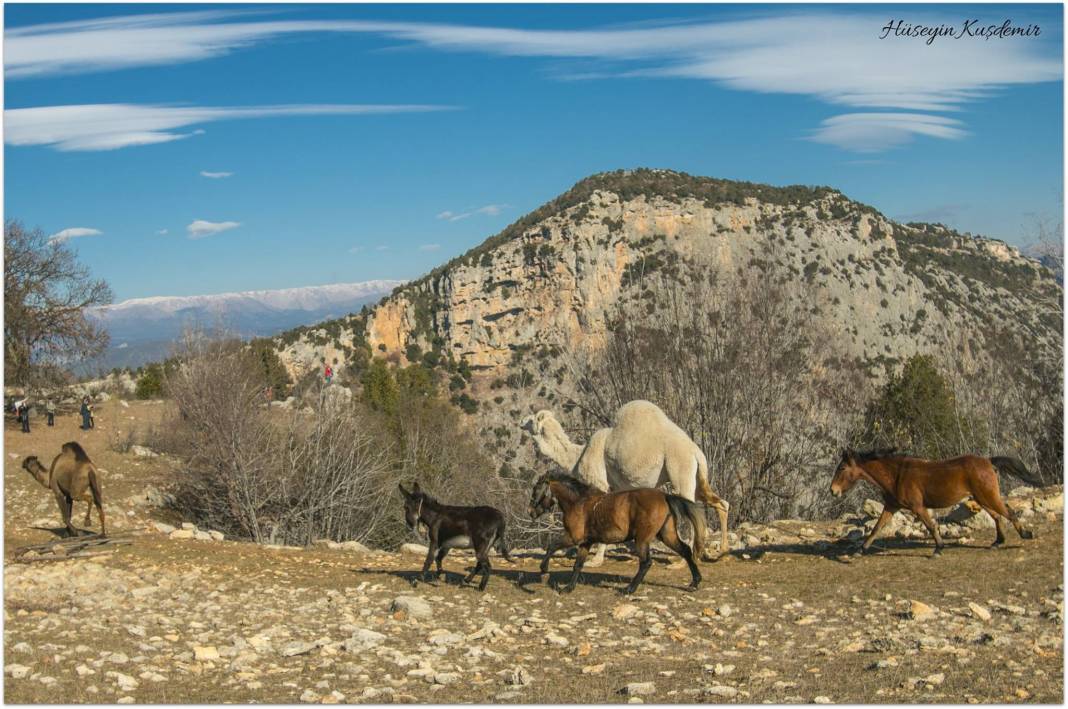 Yenişehir Emirler Köyü Resimleri 5