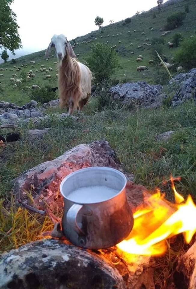 Yenişehir Gazi Köyü Resimleri 12