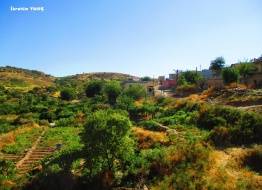 Kurtalan Yoldurağı Köyü Resimleri 1