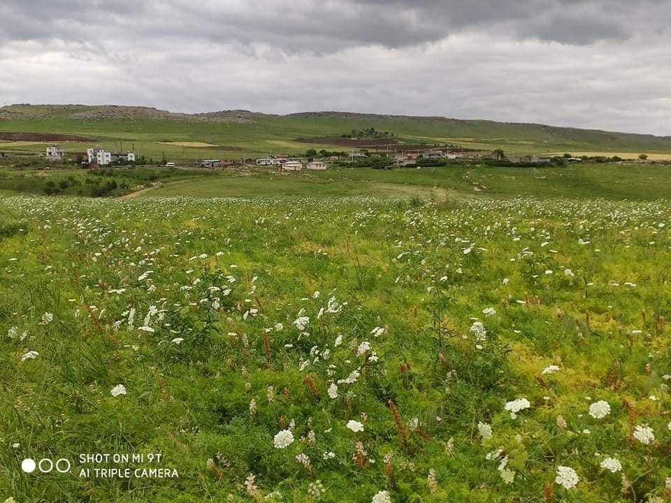 Kurtalan Yuvalı Köyü Resimleri 3