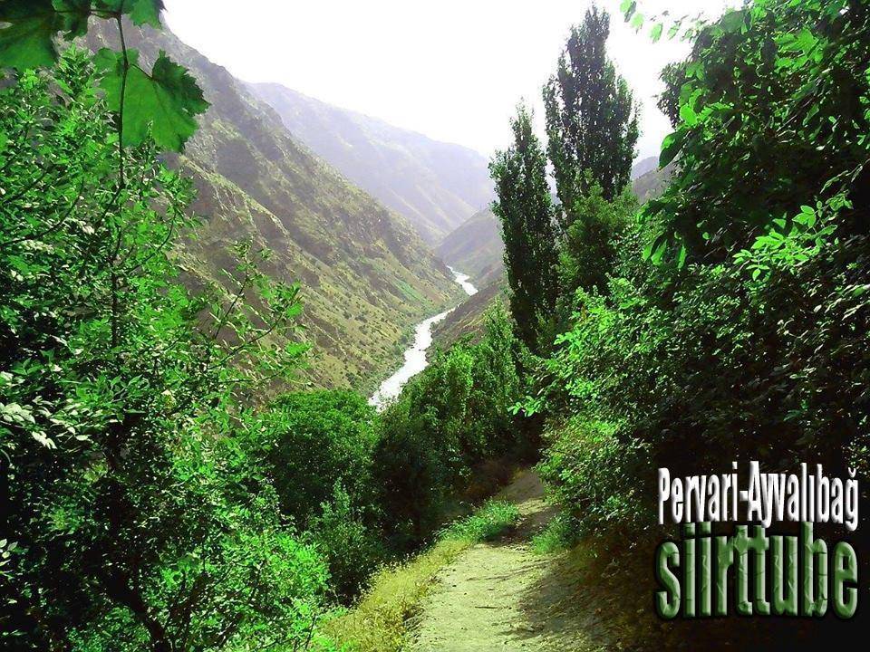 Pervari Ayvalıbağ Köyü Resimleri 1