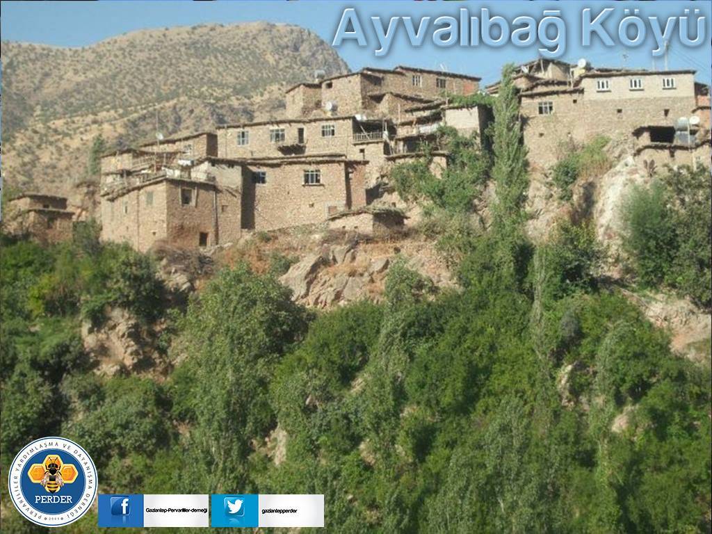 Pervari Ayvalıbağ Köyü Resimleri 2