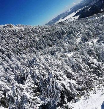 Taraklı Tuzla Köyü Resimleri 5