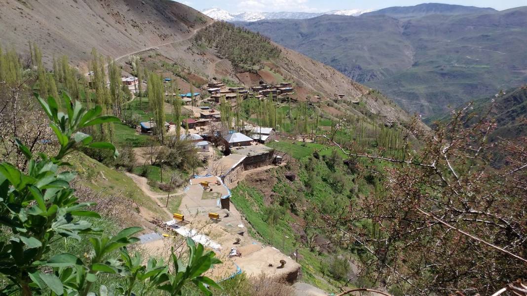 Pervari Çavuşlu Köyü Resimleri 11