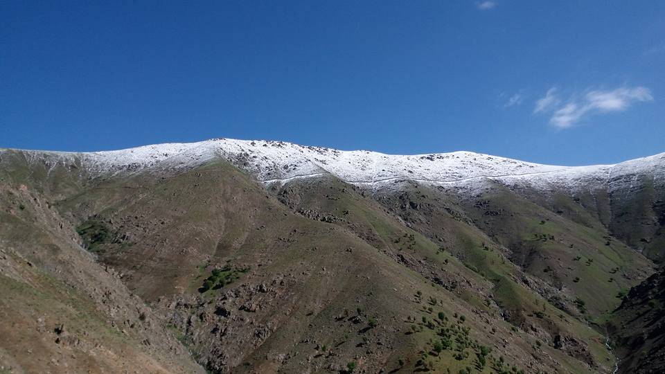 Pervari Çavuşlu Köyü Resimleri 20