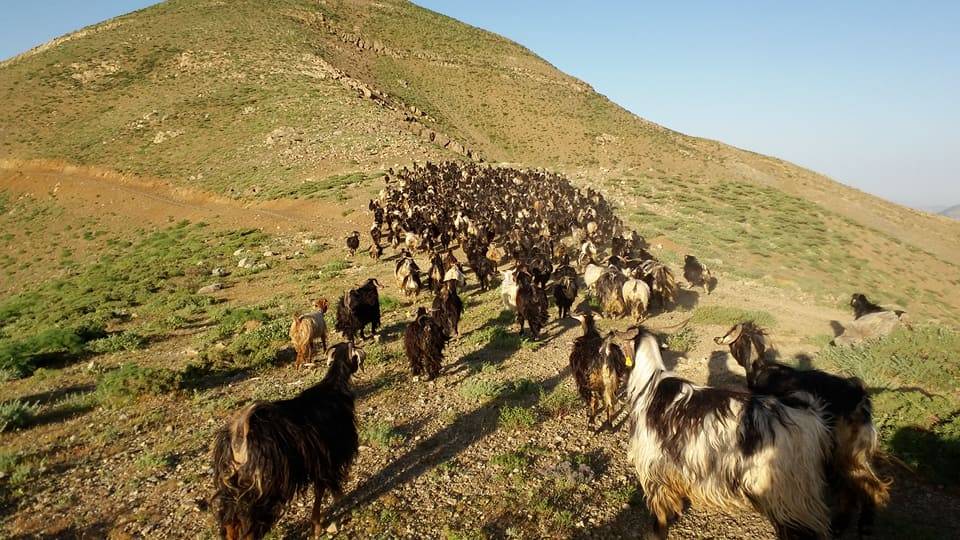 Pervari Çavuşlu Köyü Resimleri 25