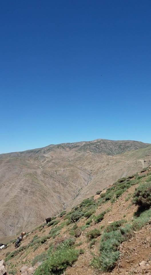 Pervari Çavuşlu Köyü Resimleri 26