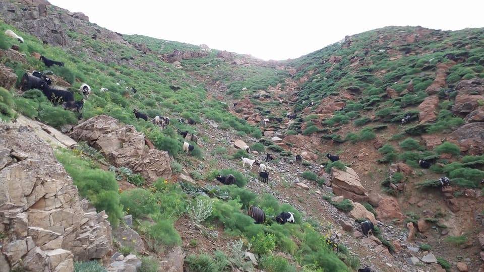 Pervari Çavuşlu Köyü Resimleri 28