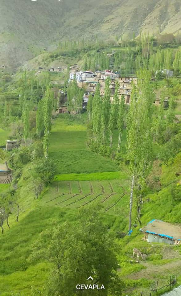 Pervari Çavuşlu Köyü Resimleri 31