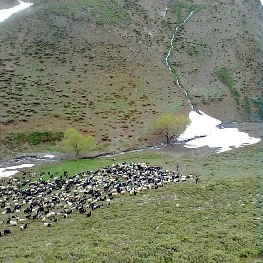 Pervari Çavuşlu Köyü Resimleri 33