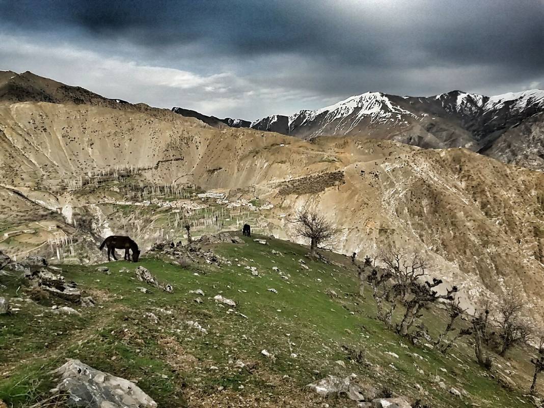 Pervari Çavuşlu Köyü Resimleri 36