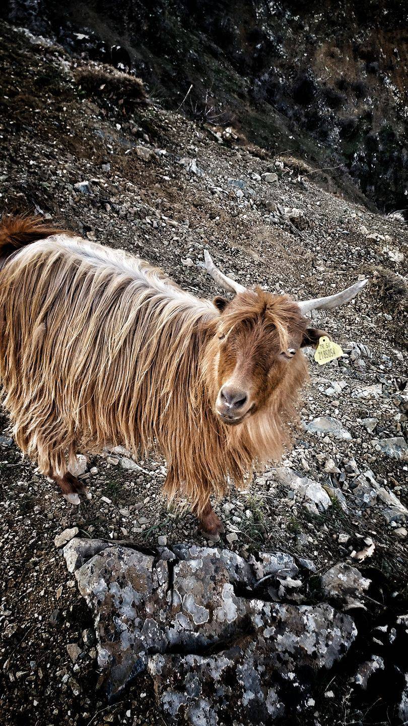 Pervari Çavuşlu Köyü Resimleri 4