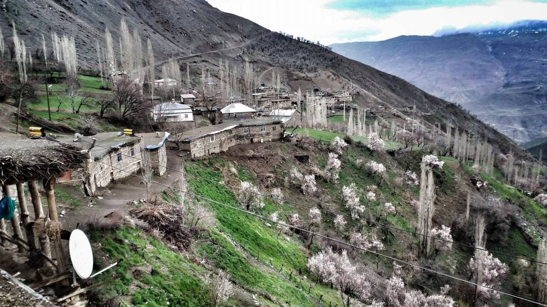 Pervari Çavuşlu Köyü Resimleri 5