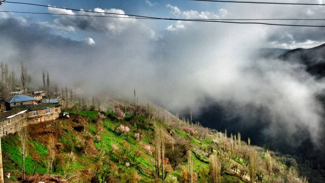 Pervari Çavuşlu Köyü Resimleri 9