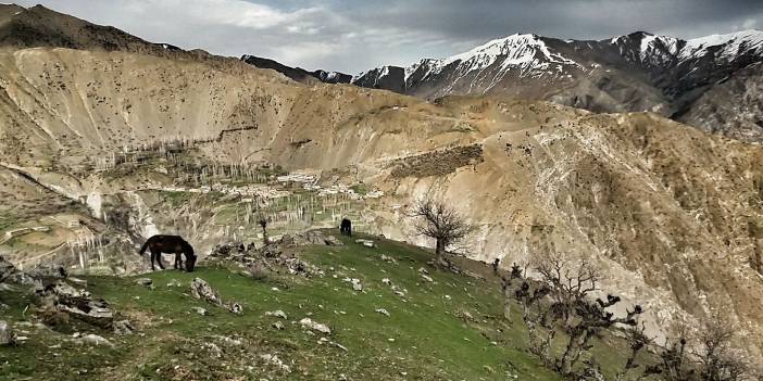 Pervari Çavuşlu Köyü Resimleri